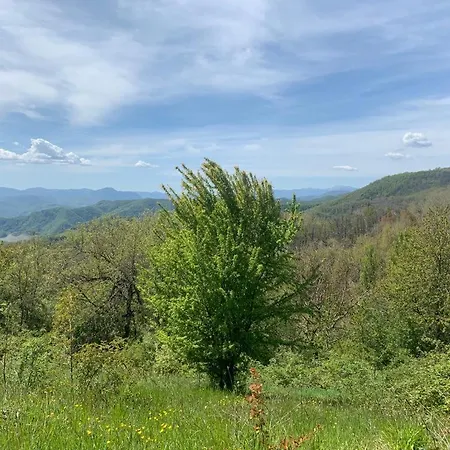 Ca' Inua - Arte, Bosco, Ospitalita Bauernhof Marzabotto