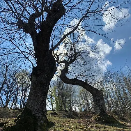 Ca' Inua - Arte, Bosco, Ospitalita