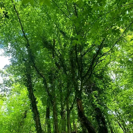 Ca' Inua - Arte, Bosco, Ospitalita Vakantieboerderij