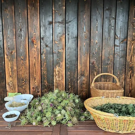 Ca' Inua - Arte, Bosco, Ospitalita Vakantieboerderij