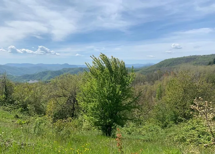 Ca' Inua - Arte, Bosco, Ospitalita Lantgård Marzabotto