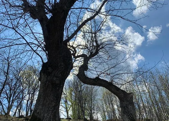 Ca' Inua - Arte, Bosco, Ospitalita