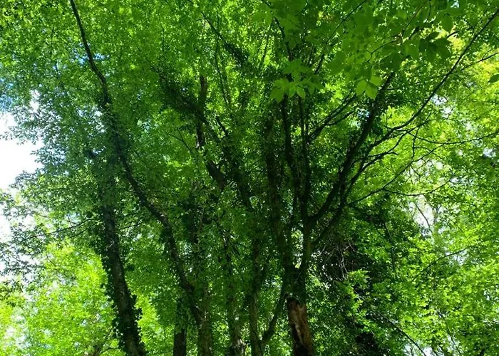 Ca' Inua - Arte, Bosco, Ospitalita Farmház