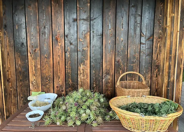 Ca' Inua - Arte, Bosco, Ospitalita Lantgård